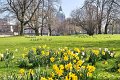 Fruehling2012   031